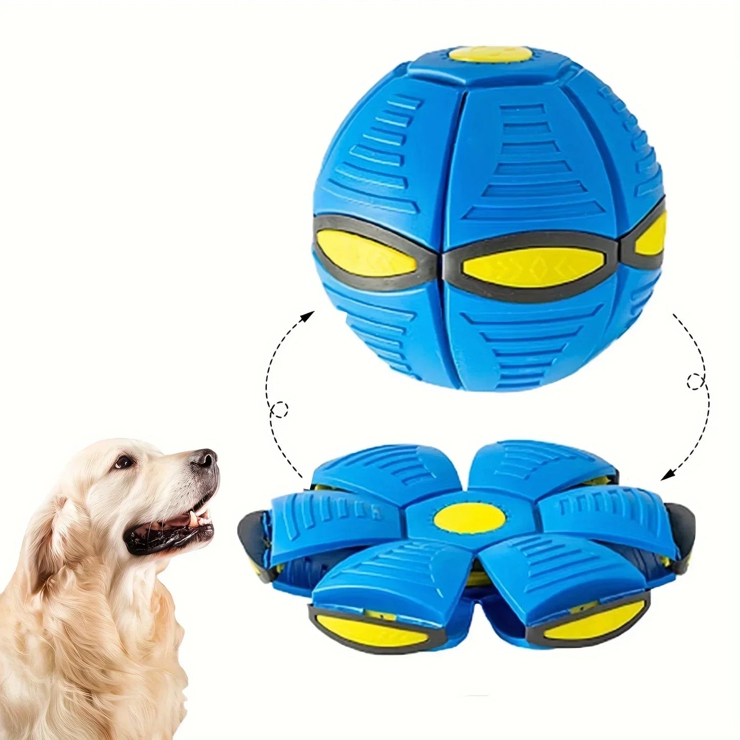 Dog Frisbee