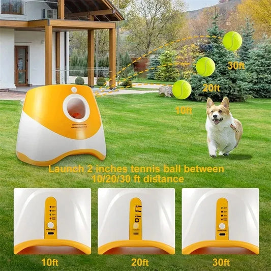 Ball Launcher