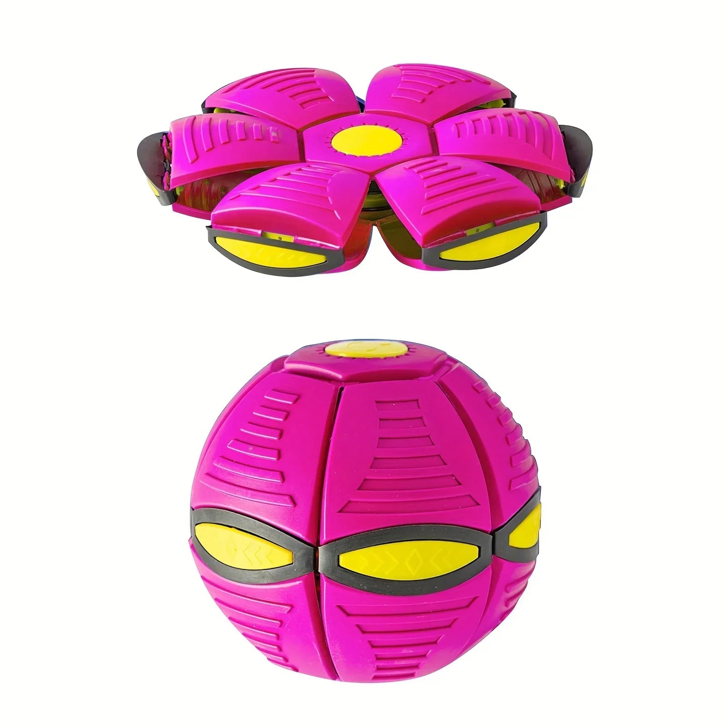 Dog Frisbee