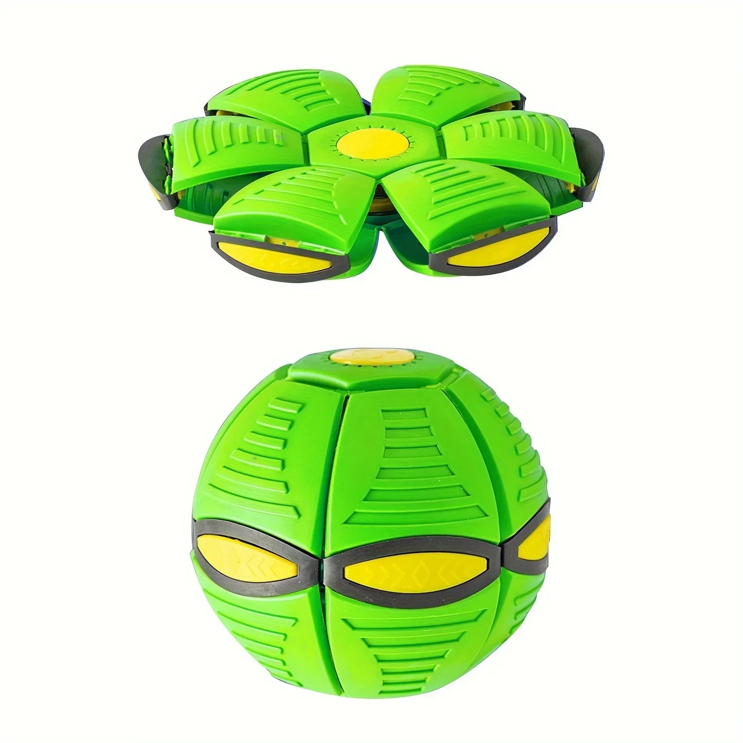 Dog Frisbee