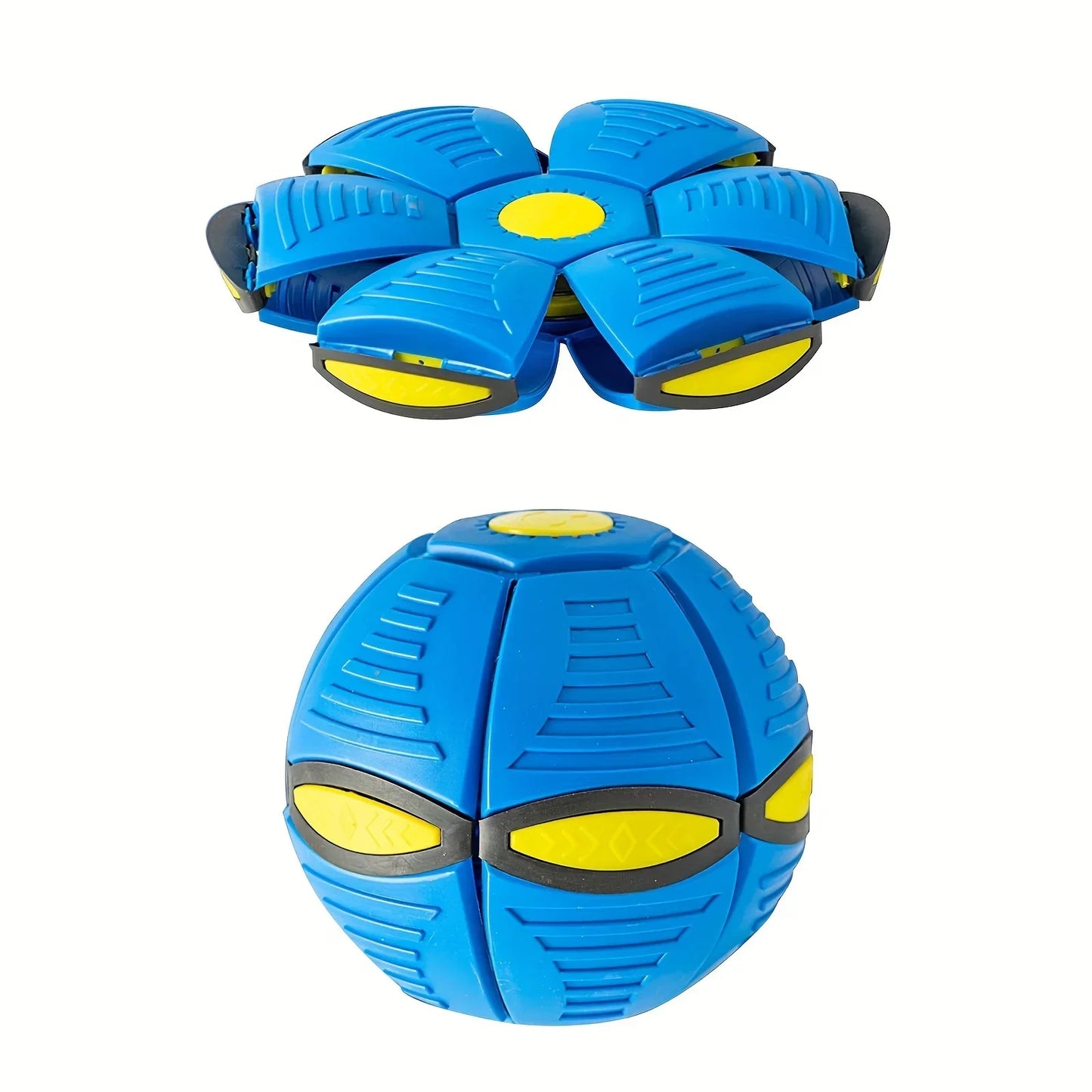 Dog Frisbee